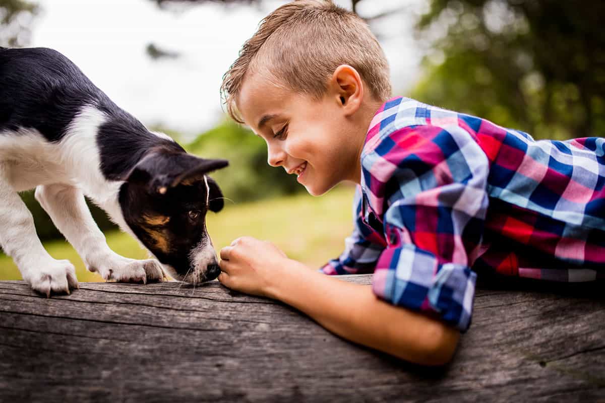 Boy and Dog