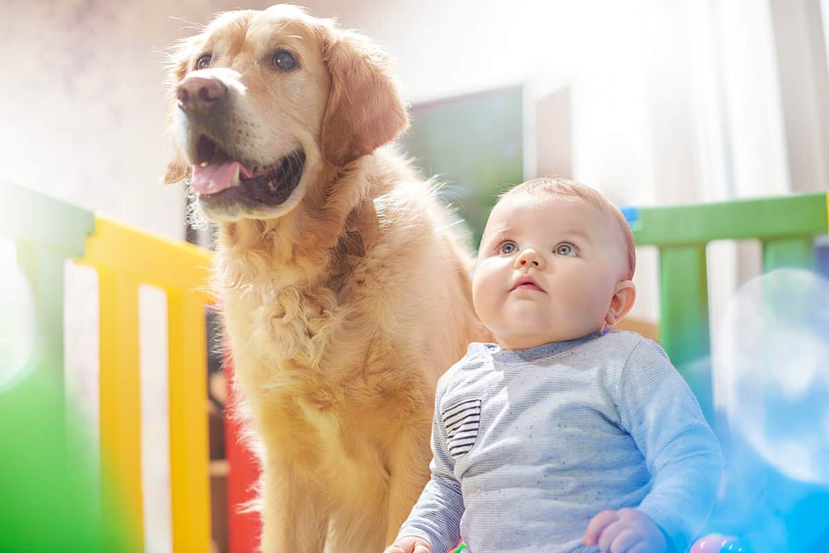 Baby and Dog